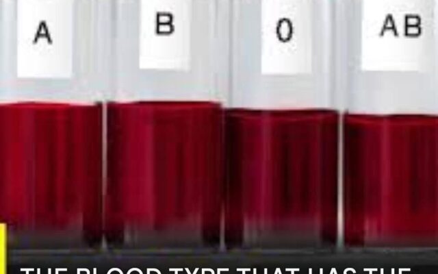 blood type and aging: what scientists are beginning to discover For most of our lives, we think about blood type…